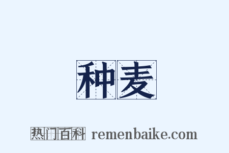 种麦是什么意思的图片